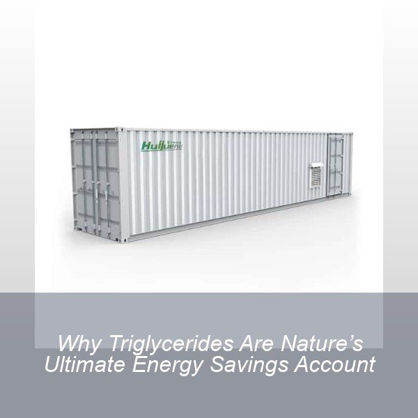Why Triglycerides Are Nature’s Ultimate Energy Savings Account